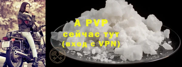 прущий лед Гусев