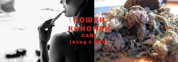 шишки Горняк