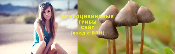 a pvp Гусь-Хрустальный