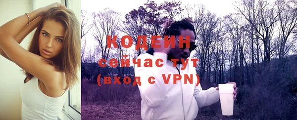 a pvp Гусь-Хрустальный