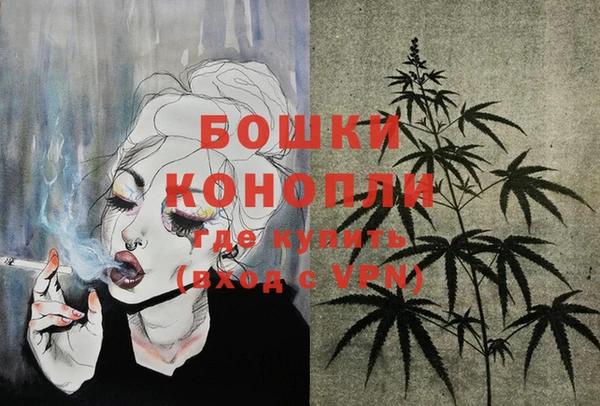 прущий лед Гусев