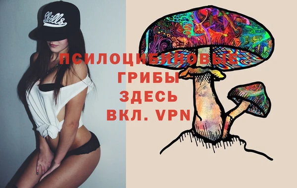 прущий лед Гусев